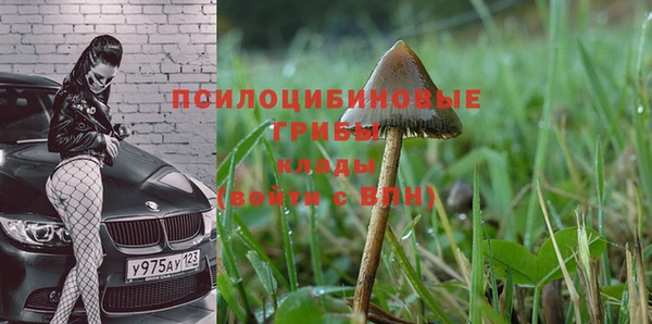 дживик Зеленокумск