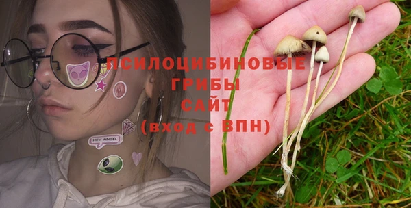 дживик Зеленокумск